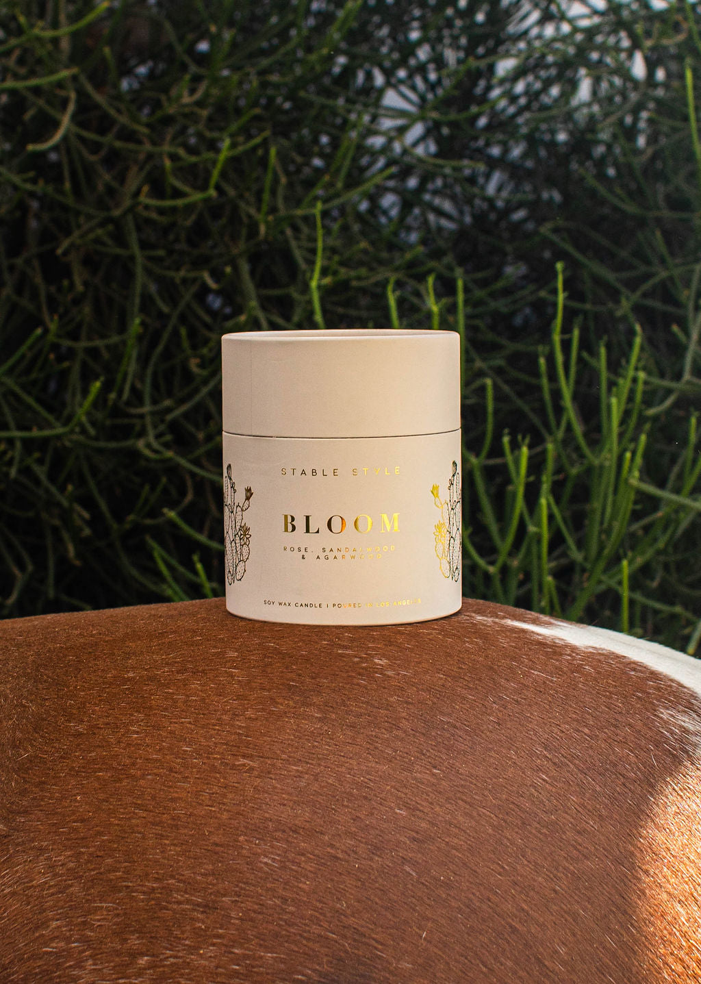 Cactus Candle - Bloom