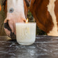 Horse Candle - Spirit