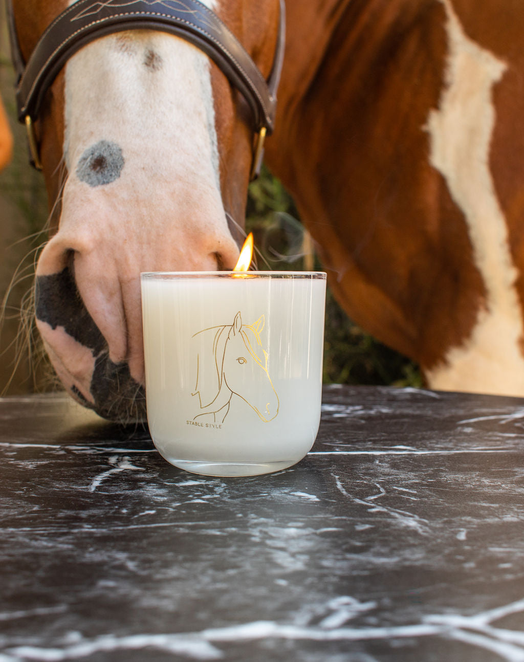 Horse Candle - Spirit